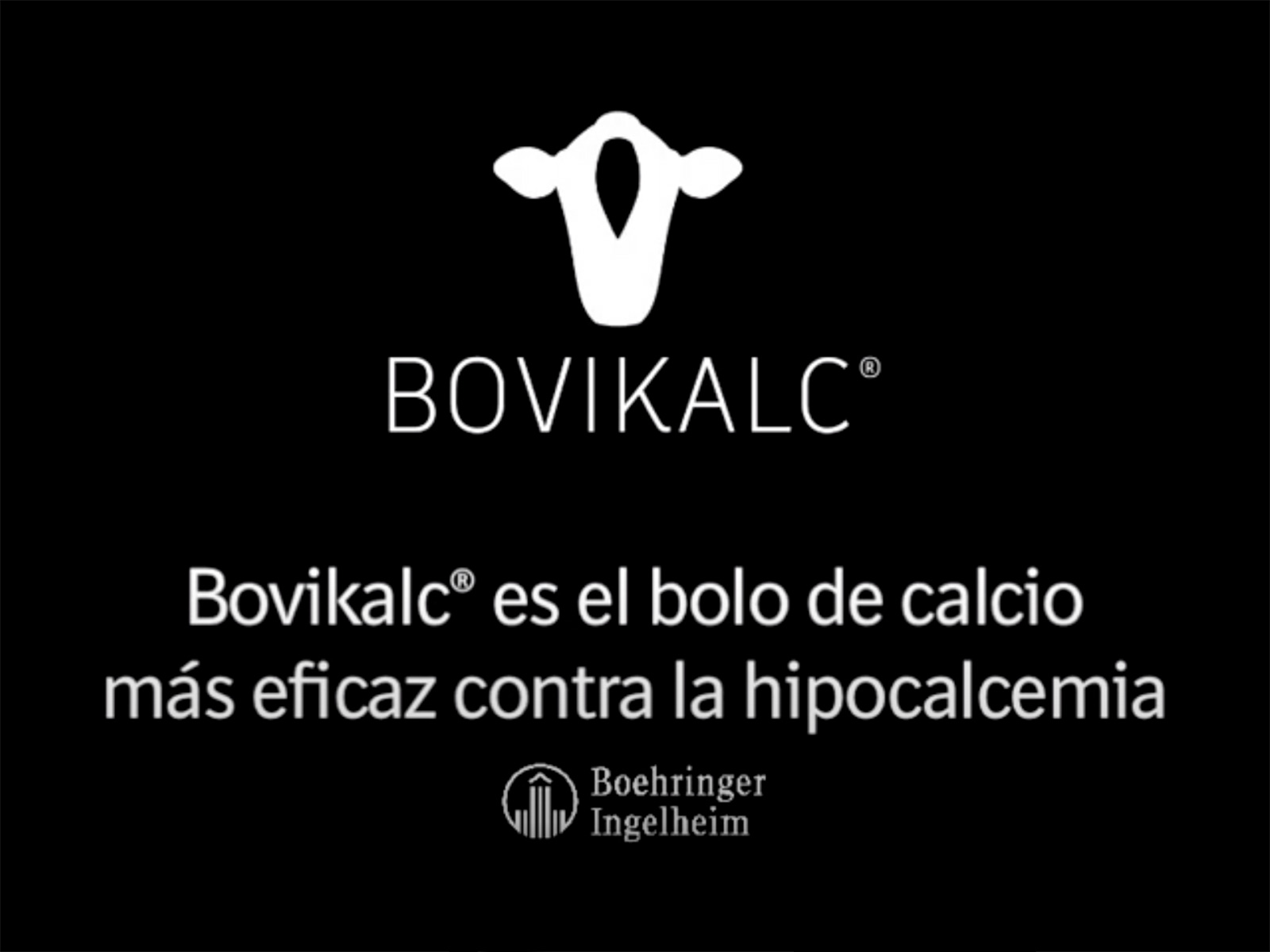 bovikalc-es-el-bolo-de-calcio-mas-eficaz-contra-la-hipocalcemia