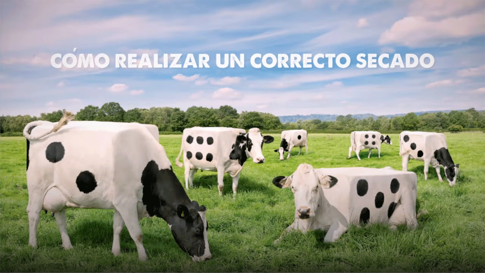 porque-es-tan-importante-el-periodo-seco